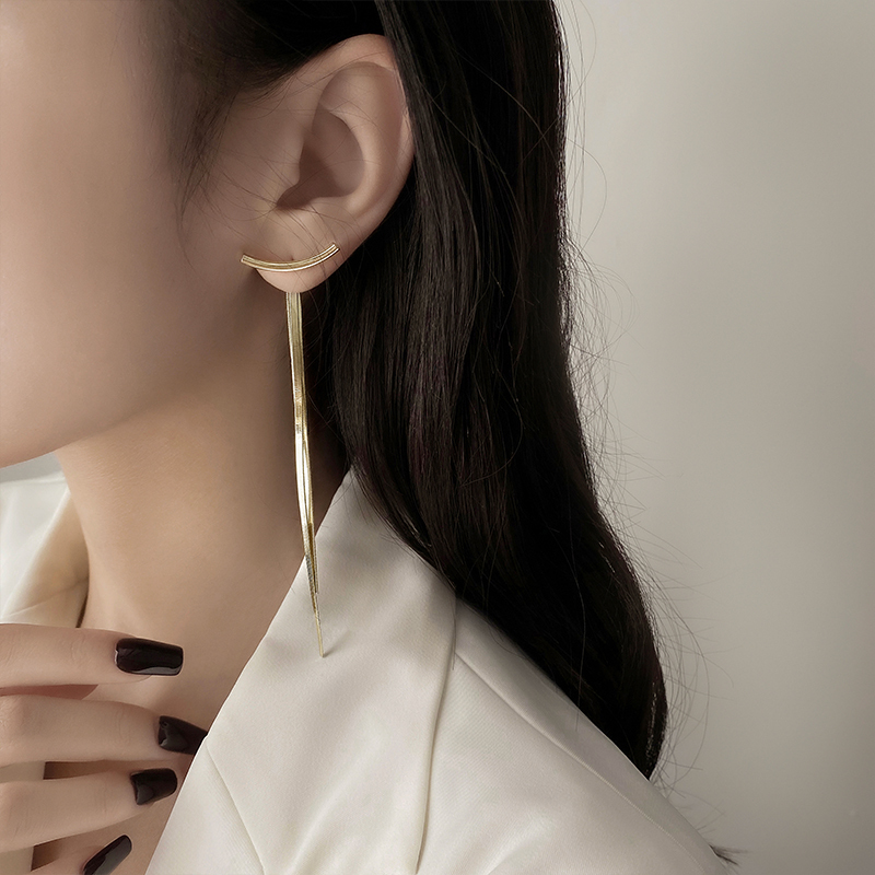 金属流苏耳环女夏长款韩国气质高级感耳钉ins冷淡风小众设计耳饰银色