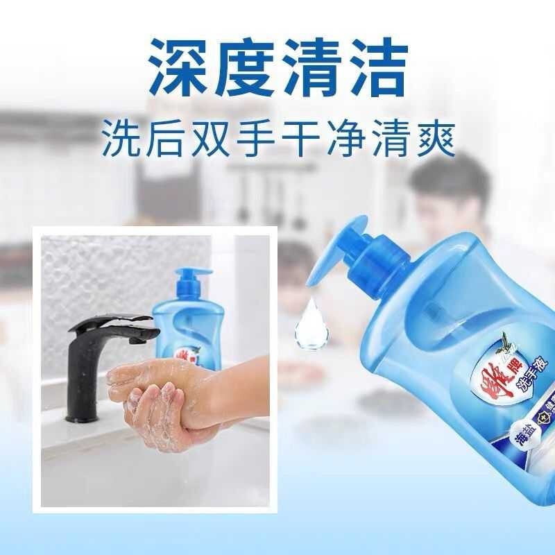雕牌 500g 海盐洗手液