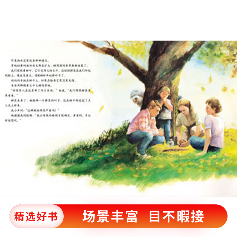 艾莉丝的树 精装 [正版]艾莉丝的树硬壳精装图画书启发绘本环保绘本让孩子学会保护环境被看见的生命与希望生命与自然生命与希高清大图