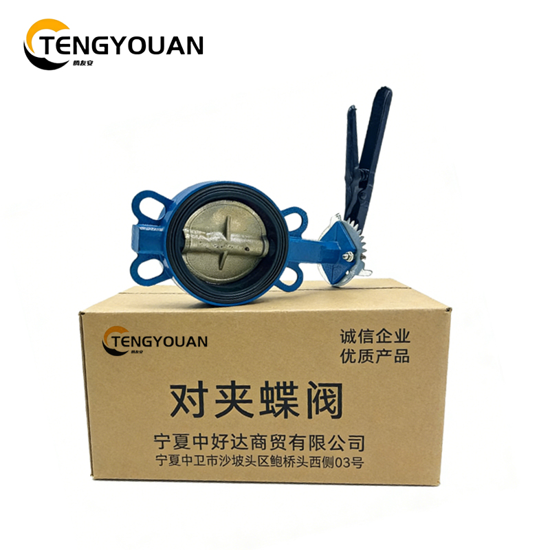 腾友安对夹蝶阀DN65/个高清大图