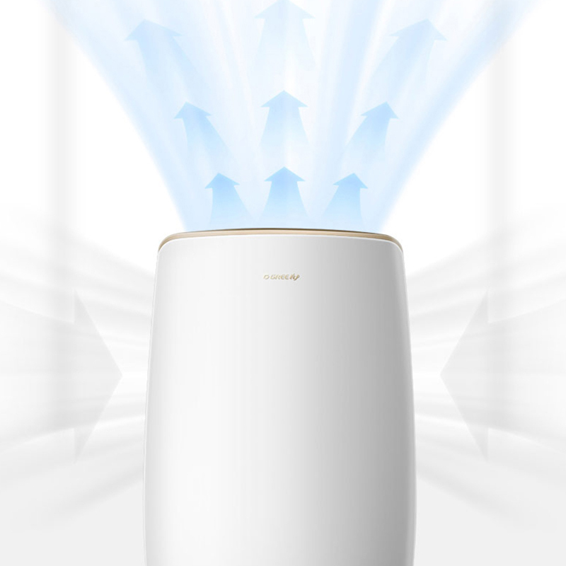 格力除湿机抽湿机除湿器家用低噪卧室祛湿机吸湿除潮器20L/天 20-40㎡ DH20EH [20升]