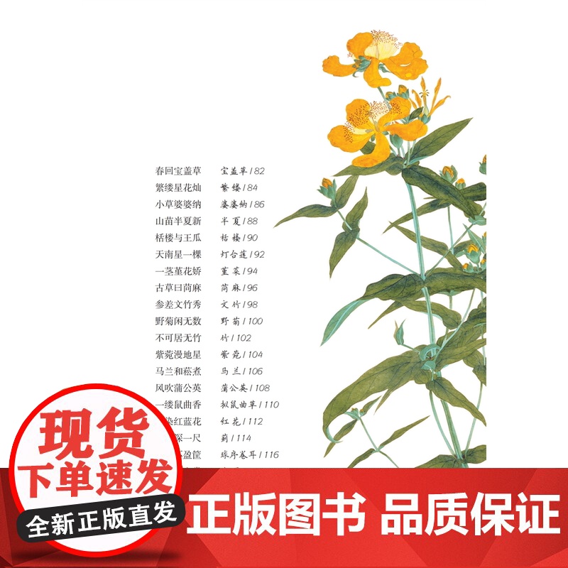 草色入帘青/草木闲趣书系 徐红燕博物学全彩印刷花卉普及读物毛利梅园梅园草木花谱 上海科技教育出版社高清大图