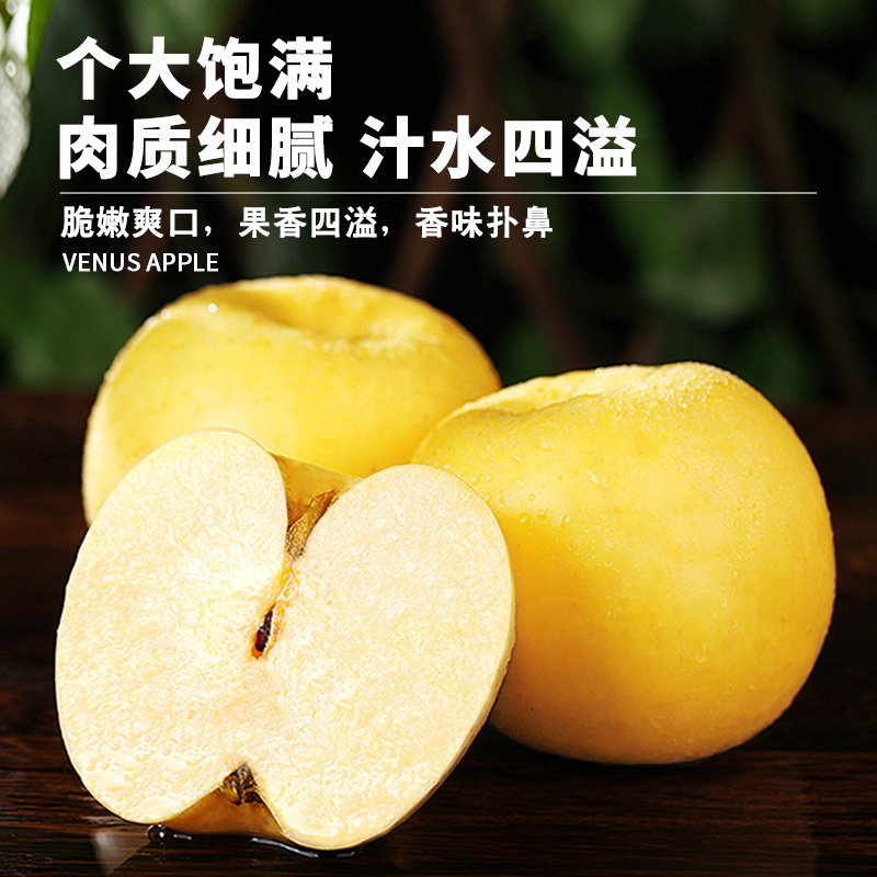 礼盒装[熊猫鸟]新鲜维纳斯苹果 净重6斤 脆甜可口高清大图