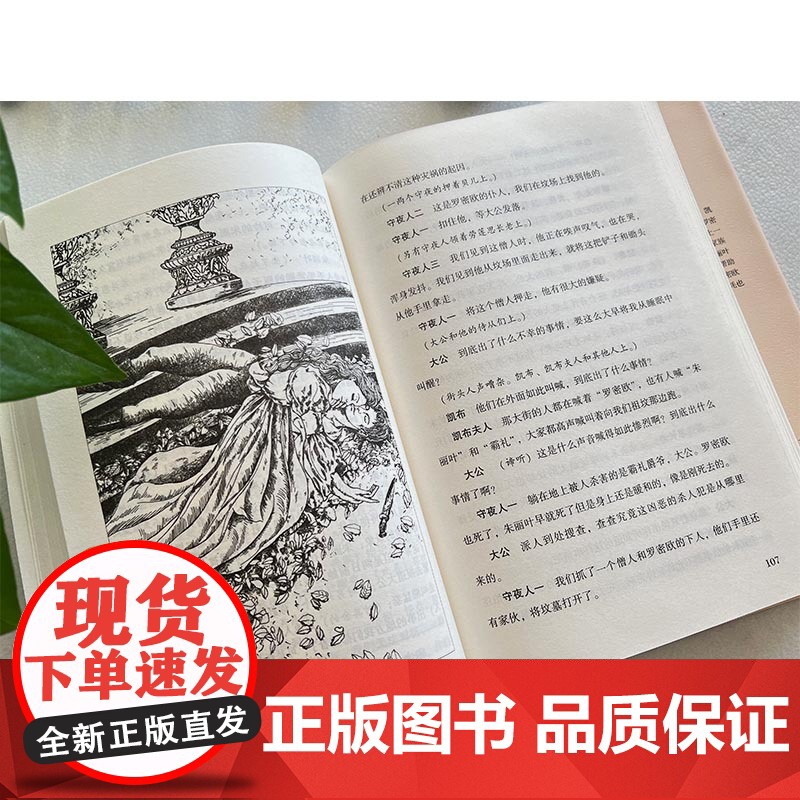 罗密欧与朱丽叶 精装版全译本世界文学名著青少年课外读物外国文学名家精选书系6-15岁中小学生课外阅读书高清大图