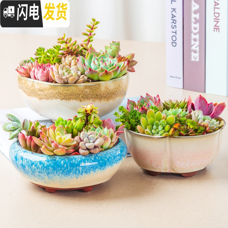 三维工匠大号多肉植物花盆大口径多肉花盆拼盘粗陶中小号花盆陶瓷创意 HP1359 中等花盆容器高清大图