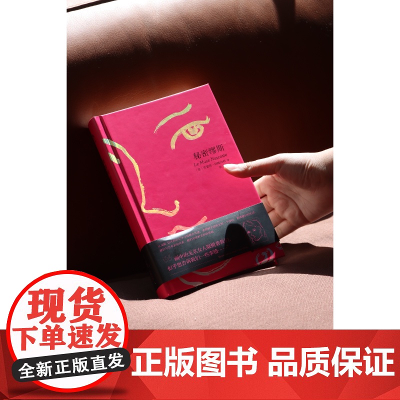 秘密缪斯 Le Muse Nascoste 〔意〕劳蕾塔·科隆内利 北京联合出版公司高清大图