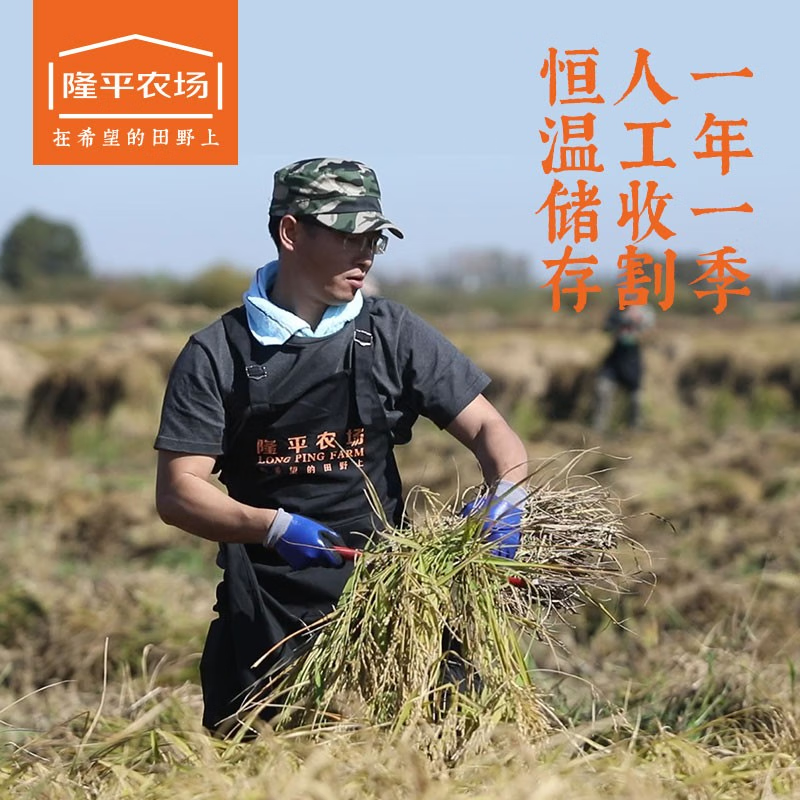 隆平芯米 五常大米 五常龙凤香米 5kg(单位:袋)高清大图