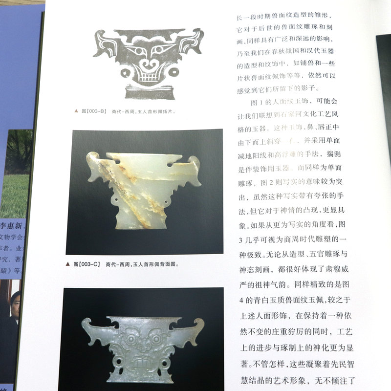 [正版]精装佩玉将将 中国古玉器配饰说玉俞伟理昆仑玉鉴宝石鉴定好简单红山文化玉器鉴赏图典玉器珠宝鉴赏大全集书籍高清大图