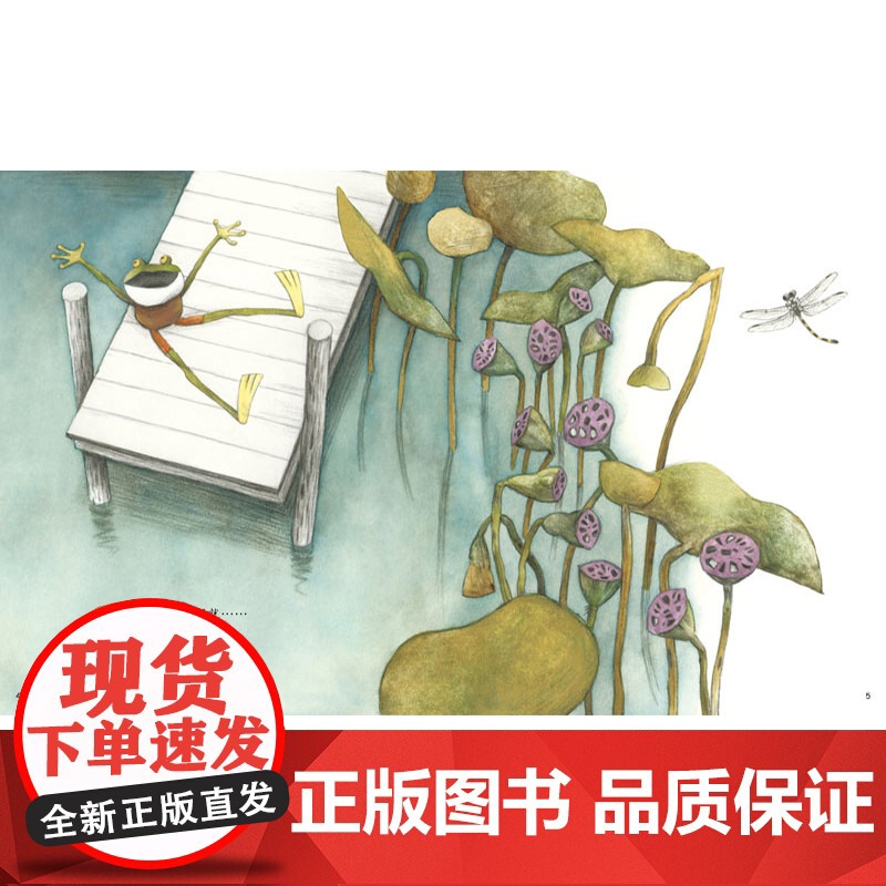 青蛙与蜗牛精装绘本图画书适合3岁以上亲子共读中少社正版童书高清大图