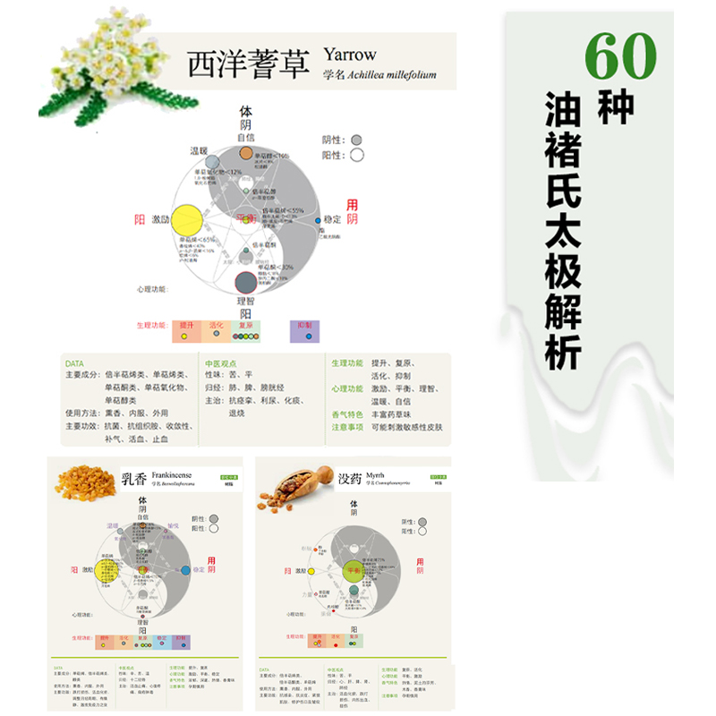 [醉染正版]经络精油芳疗小百科 褚柏菁著 经络理论+植物精油疗法解除不适迅速见效了解基础经络和精油理论 保健养生书籍高清大图