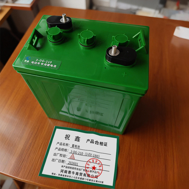 祝鑫 蓄电池 3-DG-210(3-EV-180) 只高清大图