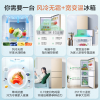 [咨询优惠]容声冰箱251升(Ronshen)三门风冷无霜 节能低噪音家用电脑控温中门软冷冻容声小冰箱租房