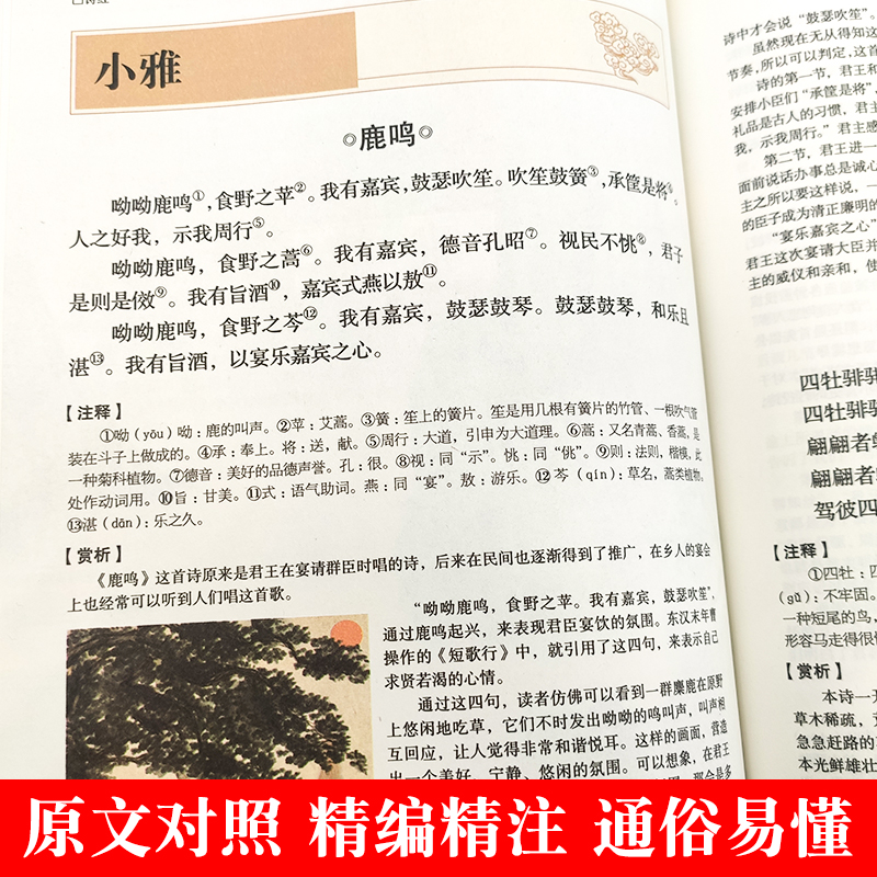 [正版]图解诗经精装版诗经全集诗经风雅颂诗经原著完整版文白对照全本译注释释赏析中国古诗词大全集大会诗经选诗经注析译注全高清大图