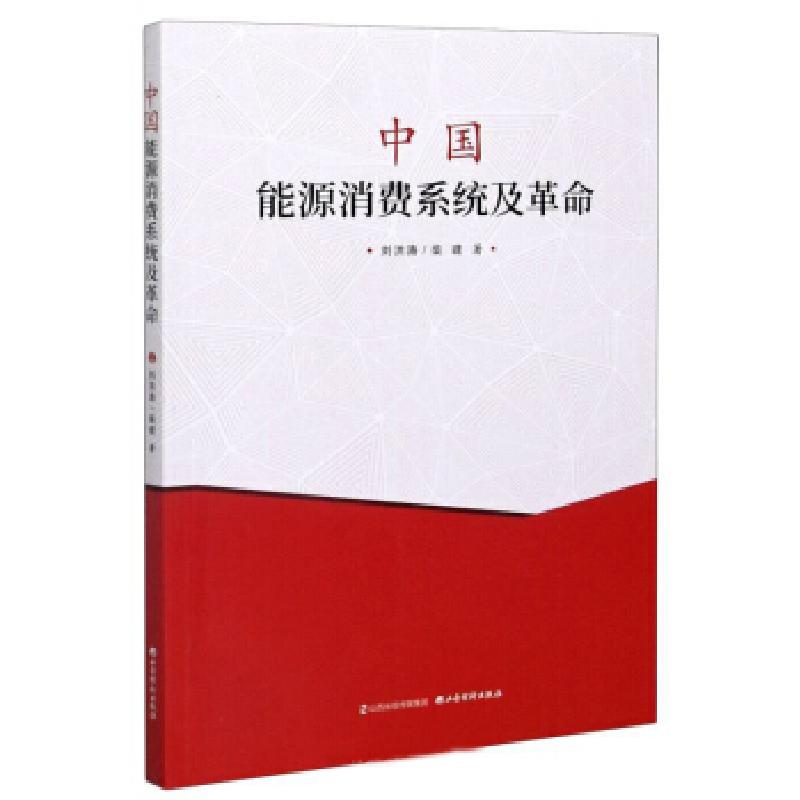 正版新书]中国能源消费系统及革命刘洪涛,柴建 著9787557706616高清大图