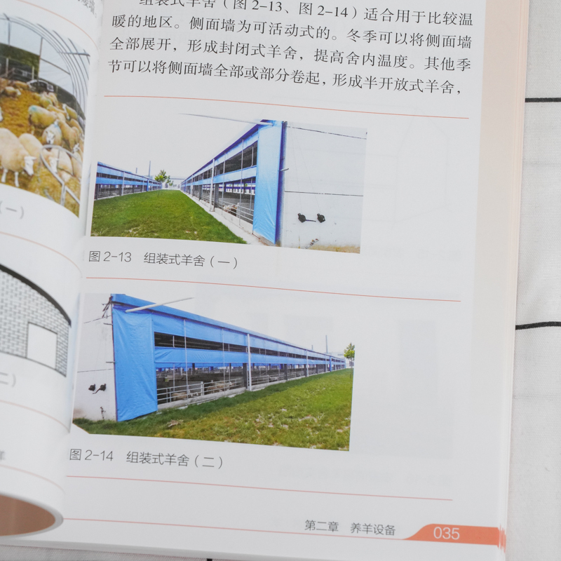 [正版]看图轻松学养羊 科学养羊技术书籍 养羊设备羊选种 选配羊繁殖配种 羔羊饲养管理 羊 生产管理羊病诊断与防治 养