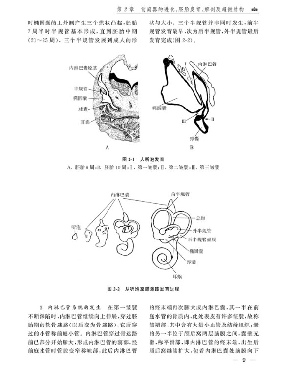 [醉染正版]正版 眩晕症的诊断与治疗 第5版 张素珍 吴子明 主编 临床实用眩晕诊治学书籍 河南科学技术出版社978高清大图