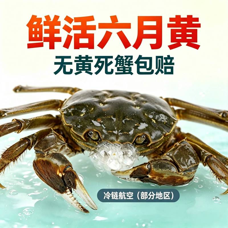 [活蟹]蟹月楼六月黄大闸蟹1.8-2.0两8只 鲜活水产螃蟹 公母随机高清大图