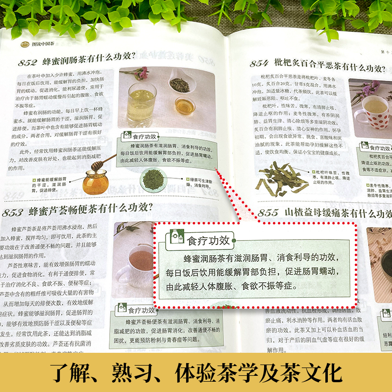 [正版]图说中国茶-鉴茶泡茶茶疗一本全茶艺从入门到精通 茶艺书学习中华茶道中国名茶叶常识科普教程书籍识茶品茶一本通喝茶懂