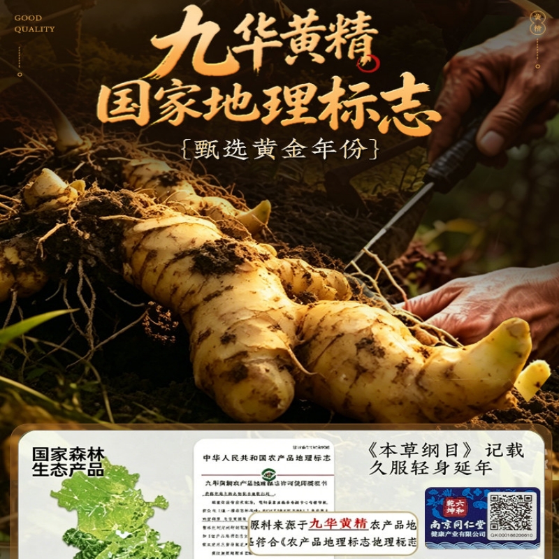 买1送1 同仁堂黄精茶150g黄精九蒸九制中药材蒸九晒茶塔木金黄精块男士气血肾官方旗舰店高清大图