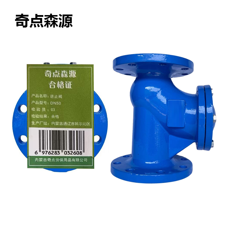 奇点森源 逆止阀 DN50 个高清大图