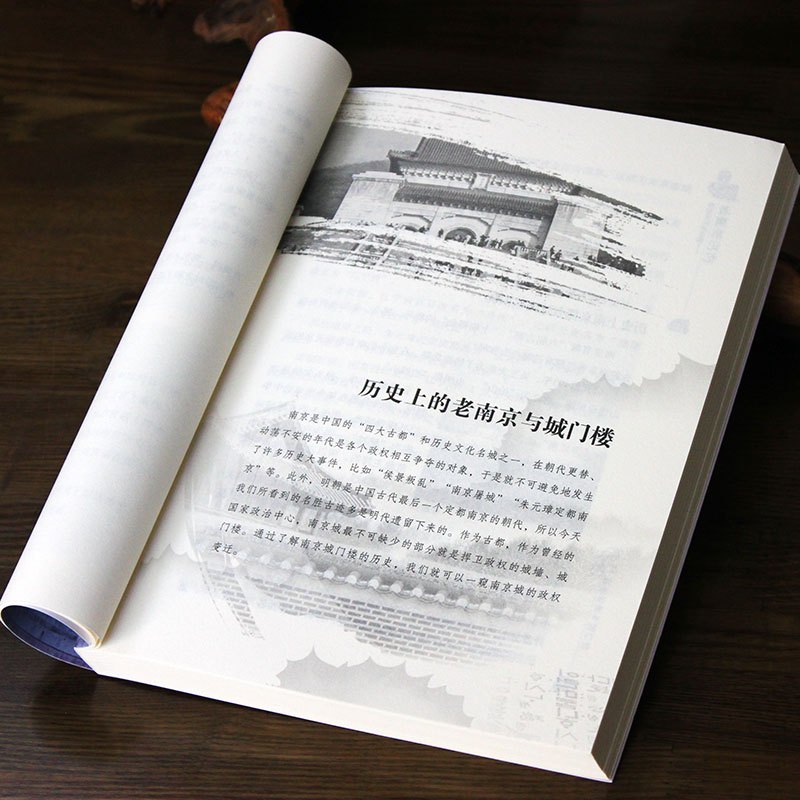 《老南京记忆》 [正版]带着文化游名城《老南京记忆》原汁原味的南京民俗旧闻 南京历史人文景观旅游攻略导游书籍 老南京史志