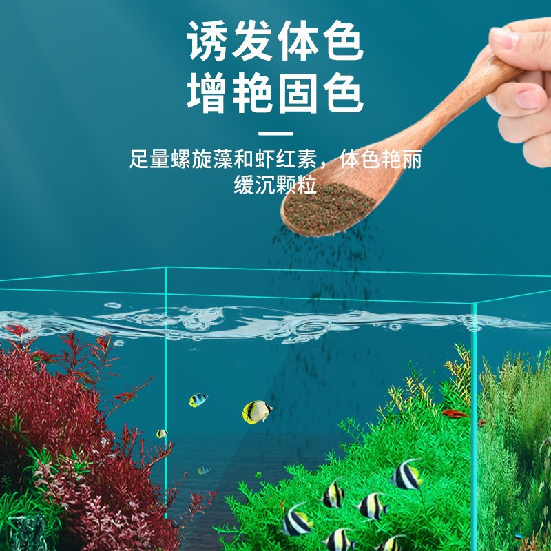 YEE 通用小型鱼饲料 小颗粒鱼粮 孔雀鱼鱼食红绿灯斗鱼金鱼观赏热带鱼食