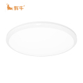 辉牛 LED吸顶灯 HN-D2 件