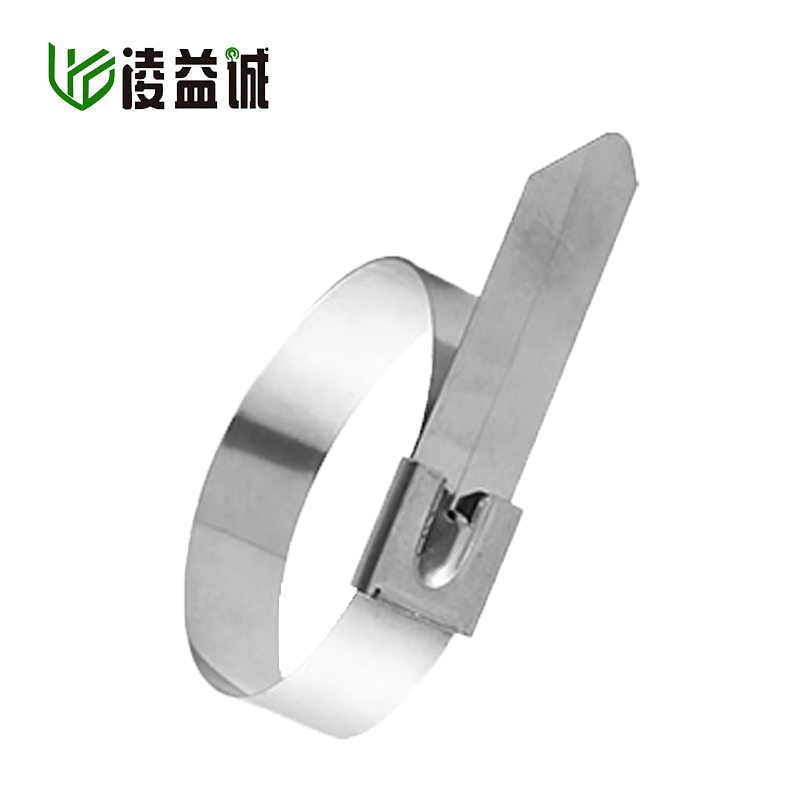 凌益诚 不锈钢扎带 4.6*400mm 100支 包高清大图