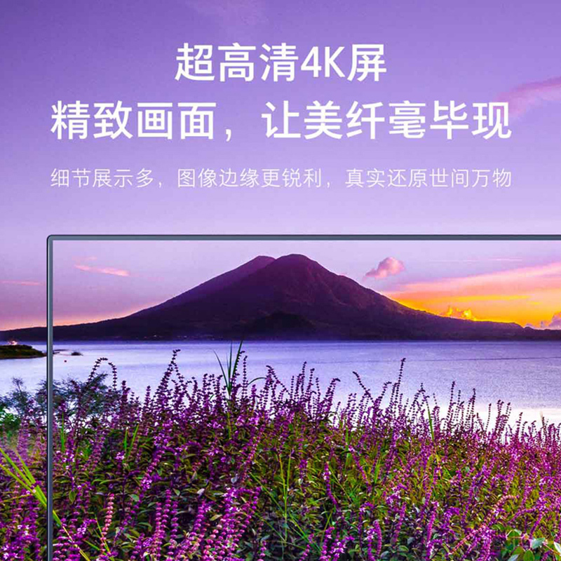 小米(mi)电视4A 70英寸 4K超高清 人工智能语音 内置小爱同学 网络液晶平板彩电大屏电视机自营