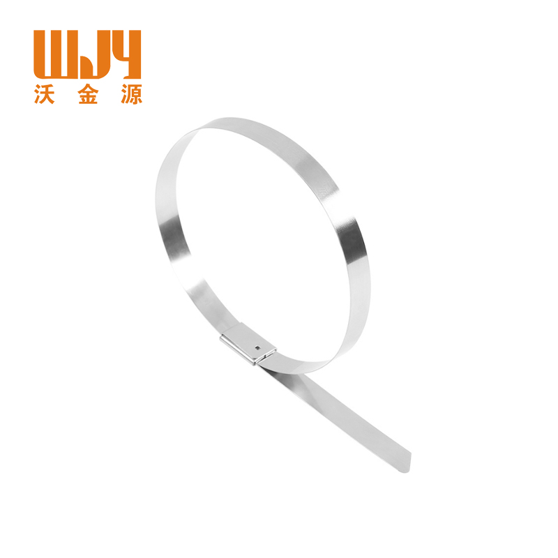 沃金源 不锈钢扎带高清大图