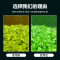 水草营养液综合液肥鱼缸水族箱肥料抑藻防烂根叶不伤鱼促长