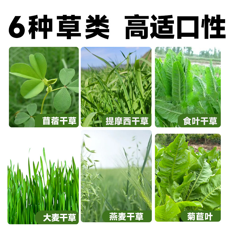 YEE 全价幼兔营养粮1kg/2.5kg 幼兔专用粮 营养宠物兔粮幼兔饲料龙猫豚鼠粮