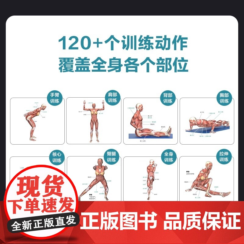 无器械训练彩色图谱 口袋版 徒手健身 无器械力量训练 健身书籍 健身训练计划 增肌书籍 力量与肌肉训练图谱高清大图