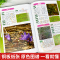 中草药+黄帝内经 [正版]中草药彩图大全书精编中国药典中药原色图谱图鉴图谱中国药材图鉴中医学书籍中药材大全常用中草药识别