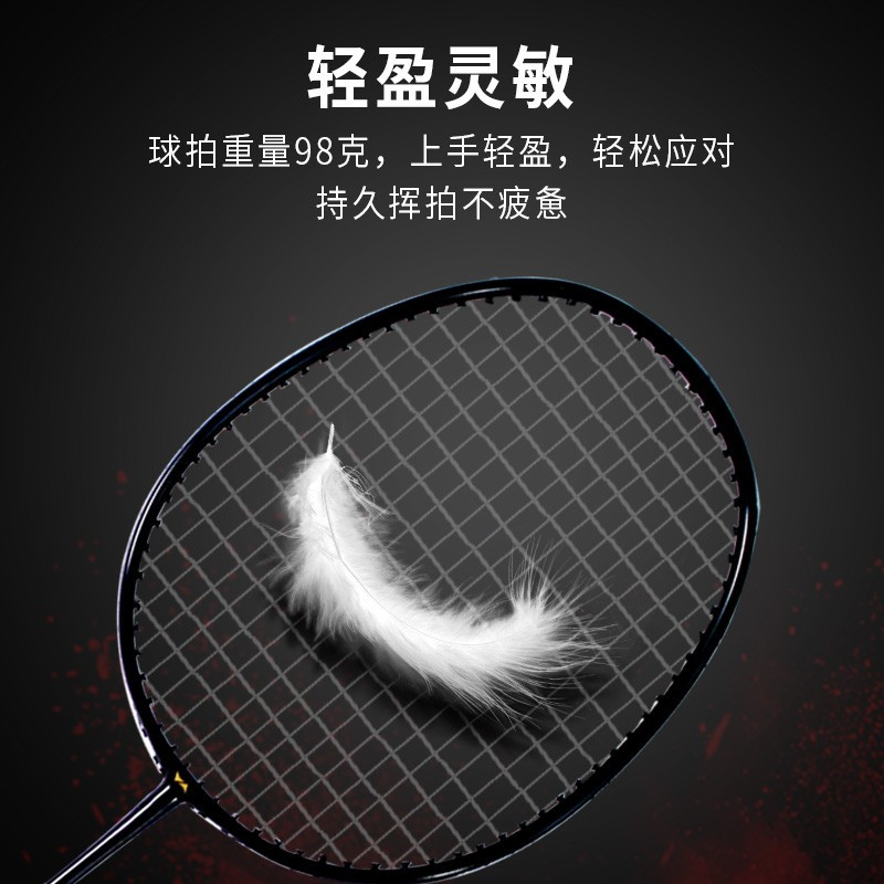 何大屋 羽毛球拍成人健身羽毛球拍羽毛球训练 羽毛球拍套装HDW130801高清大图