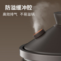九阳 家用多功能菜单可预约电炖锅电砂锅 DG40K-GD993/4L容量