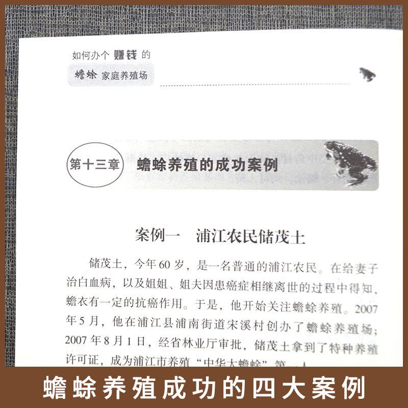 [醉染正版]如何办个赚钱的蟾蜍家庭养殖场 水产养殖书籍 药用蟾蜍高效养殖技术与疾病防治建厂 管理手册青蛙养殖书籍 青蛙养图片