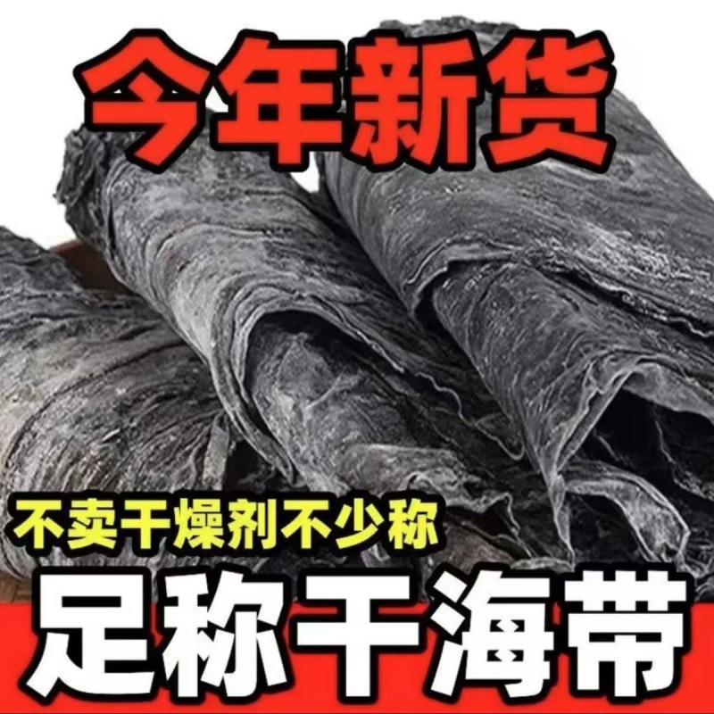霞浦特产整条海带新货福建霞浦昆布日晒带头厚实商用散装煲汤干货批发高清大图