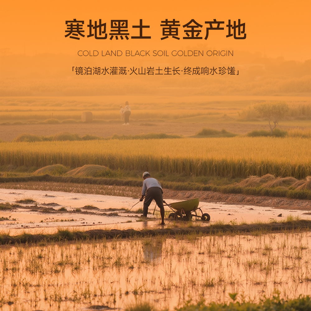 响水大米火山岩凤护响天大米5kg黄金产区当季新米高清大图