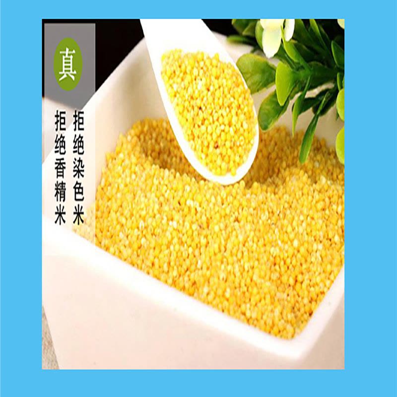 宁百晟小米1kg/袋图片