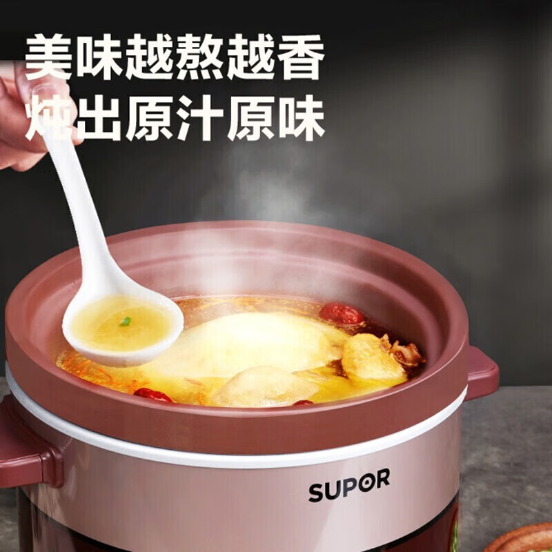 苏泊尔(SUPOR)电炖锅家用6L大容量电炖盅煲汤锅炖汤煮粥锅紫陶内胆塔吉盖智能定时预约养生锅DG60YC806高清大图