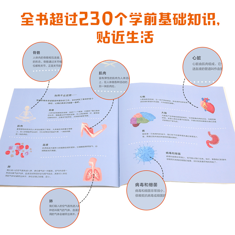 手电筒看里面科普透视绘本(平装版)(套装全10册) [正版]平装3-6岁手电筒看里面科普透视绘本(全10册) 幼儿园认知