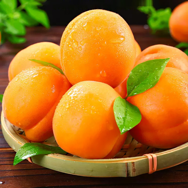 苏鲜生陕西大黄杏子新鲜水果5斤当季特大巨蜜金太阳杏酸甜杏子整箱