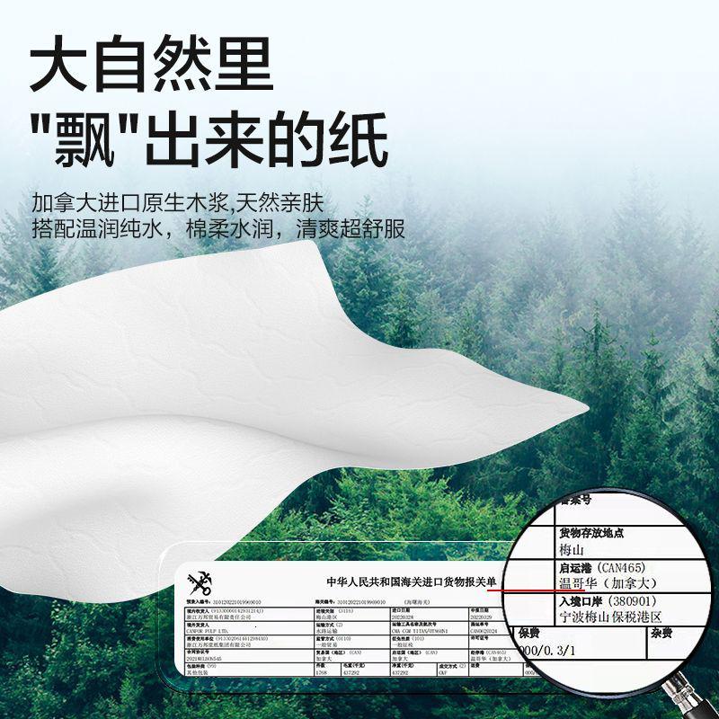 [5大包40抽/包] 湿厕纸家庭装女士专用厕纸纯水洁厕湿巾擦屁股湿纸巾高清大图
