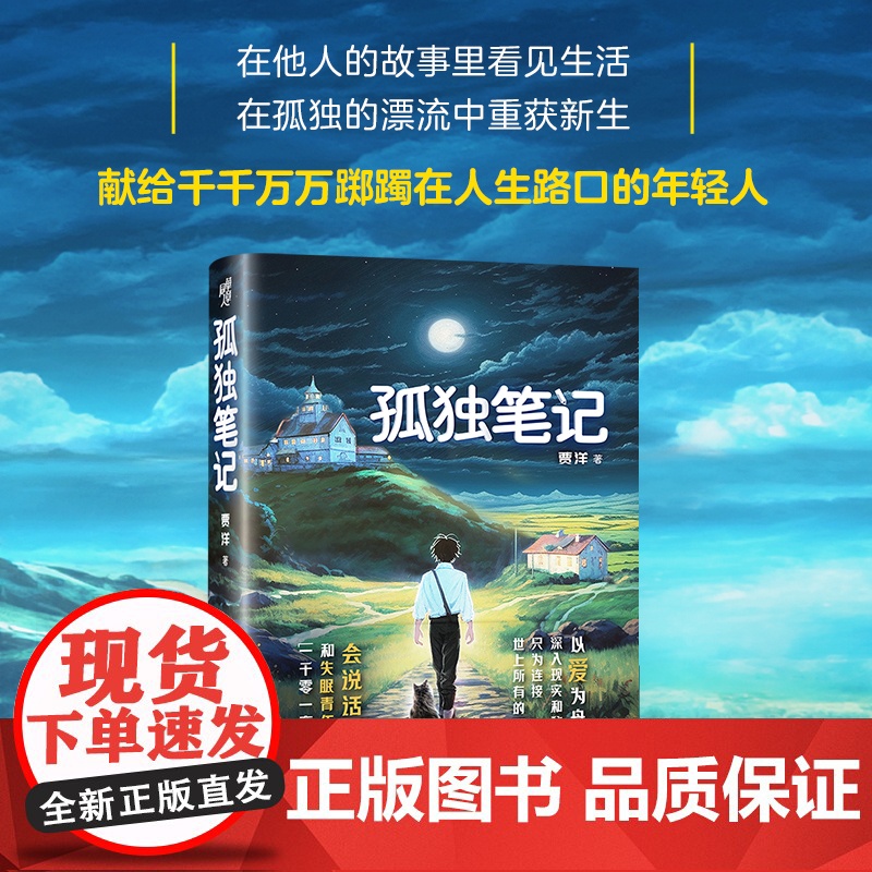 孤独笔记 贾洋 献给千千万万踯躅在人生路口的年轻人 情感奇幻小说