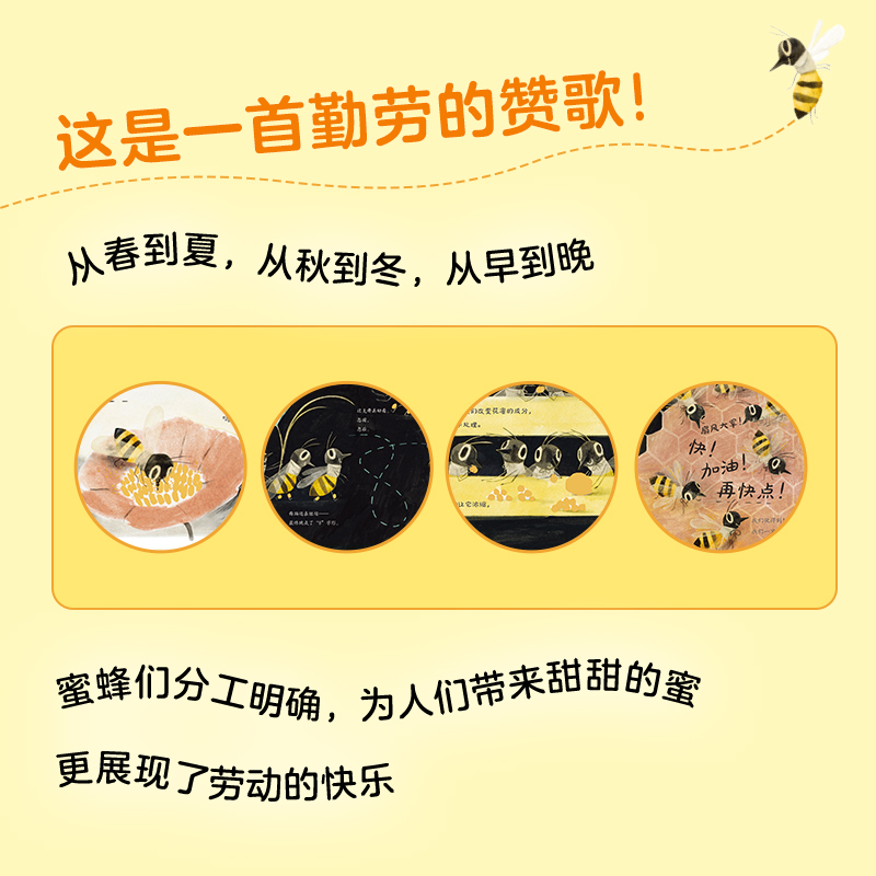单本全册 [正版]看,蜜蜂! (美)柯尔丝滕·霍尔 生动展现蜜蜂酿蜜全过程!架起孩子亲近自然的桥梁!绘本/图画书/少儿动高清大图