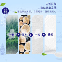 Tempo得宝天然无香经典有芯卷纸4层160g16卷卫生纸 四层加厚厕纸卫生纸家用实惠纸(整箱销售)(新旧包装交替发货)