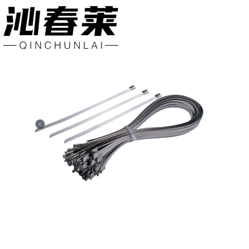 沁春莱不锈钢扎带4.6*300-100/包高清大图