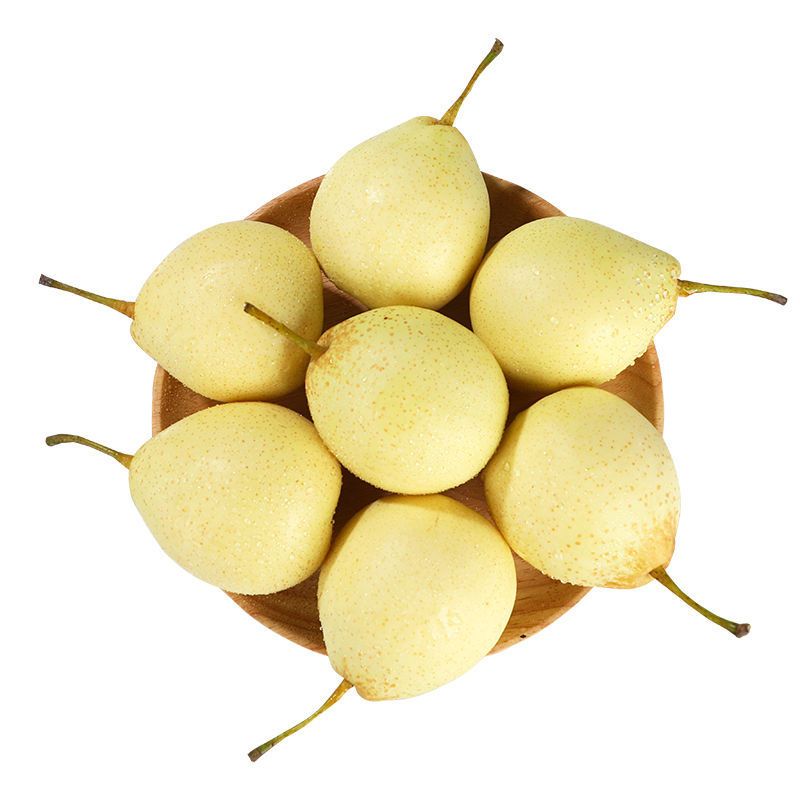 赛卡伊河北正宗鸭梨水晶梨10斤带箱非皇冠梨雪梨香梨新鲜梨子