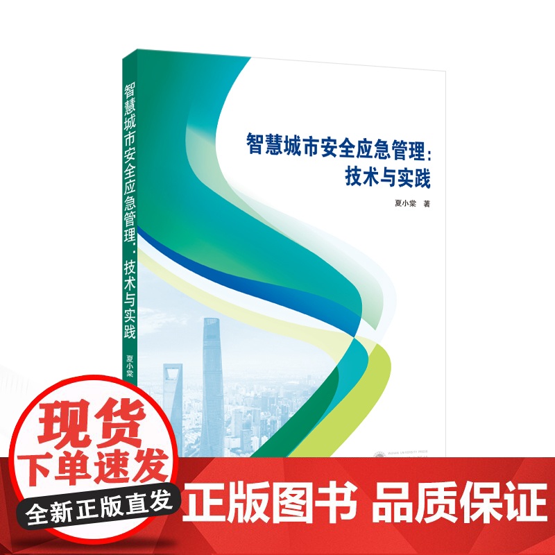 智慧城市安全应急管理:技术与实践高清大图